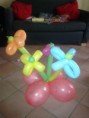 /album/attivit%c3%a0-varie/a2013-11-08-11-26-13-jpg/